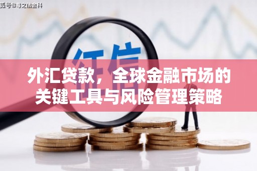 杉林外汇贷款，全球金融市场的关键工具与风险管理策略