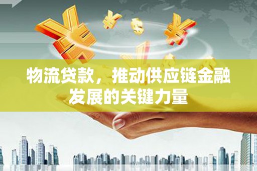 杉林物流贷款，推动供应链金融发展的关键力量