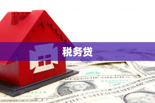 杉林税务贷