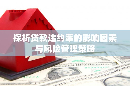 杉林探析贷款违约率的影响因素与风险管理策略