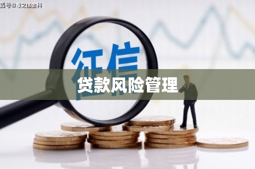 杉林贷款风险管理
