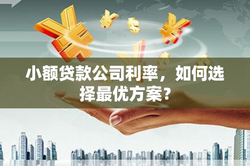 杉林小额贷款公司利率，如何选择最优方案？