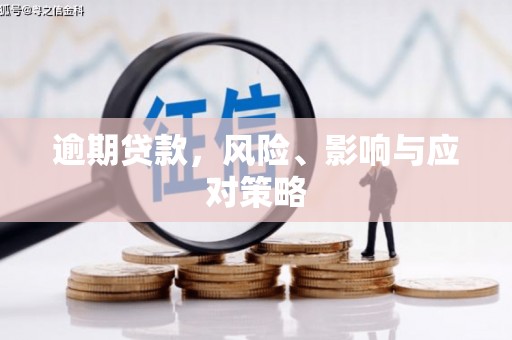 杉林逾期贷款，风险、影响与应对策略