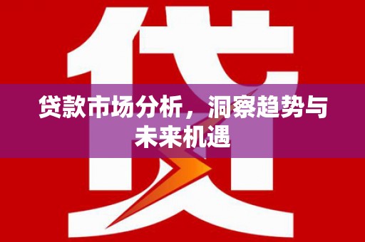杉林贷款市场分析，洞察趋势与未来机遇