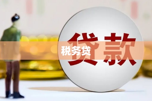 杉林税务贷