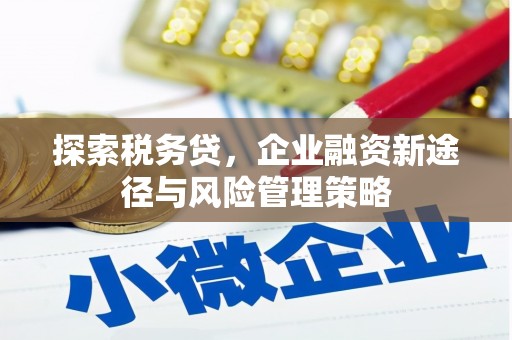 杉林探索税务贷，企业融资新途径与风险管理策略