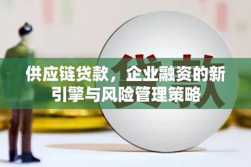 杉林供应链贷款，企业融资的新引擎与风险管理策略