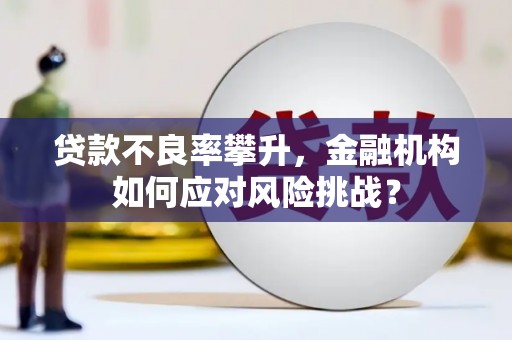 杉林贷款不良率攀升，金融机构如何应对风险挑战？
