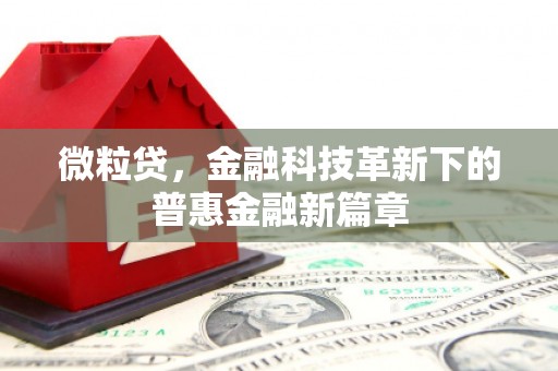 杉林微粒贷，金融科技革新下的普惠金融新篇章