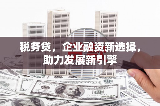 杉林税务贷，企业融资新选择，助力发展新引擎