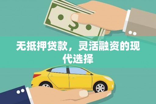 杉林无抵押贷款，灵活融资的现代选择