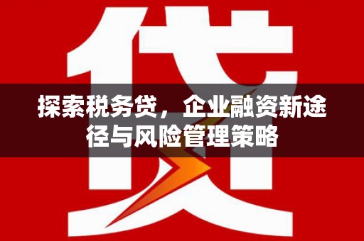 杉林探索税务贷，企业融资新途径与风险管理策略