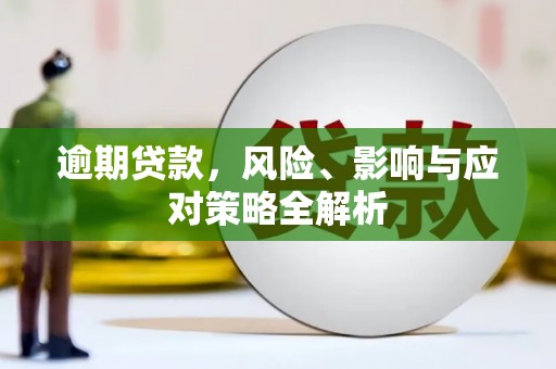 杉林逾期贷款，风险、影响与应对策略全解析