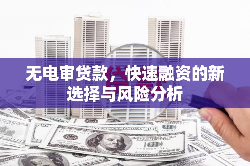 杉林无电审贷款，快速融资的新选择与风险分析