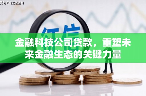 杉林金融科技公司贷款，重塑未来金融生态的关键力量