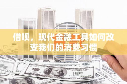 杉林借呗，现代金融工具如何改变我们的消费习惯
