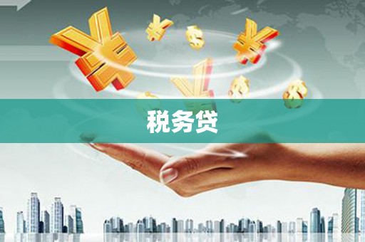 杉林税务贷