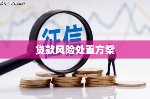杉林贷款风险处置方案