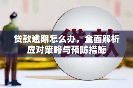杉林贷款逾期怎么办，全面解析应对策略与预防措施