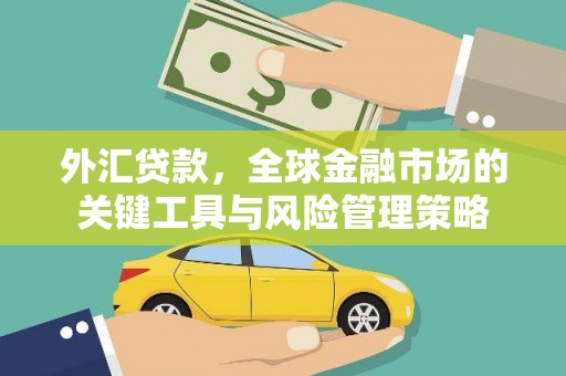 杉林外汇贷款，全球金融市场的关键工具与风险管理策略