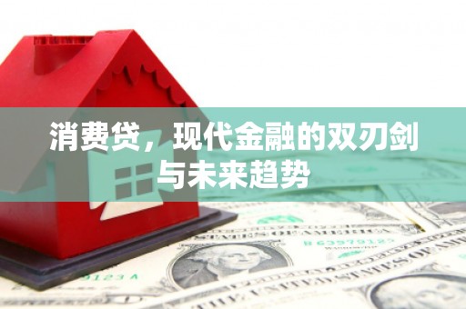 杉林消费贷，现代金融的双刃剑与未来趋势