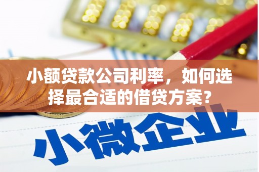 杉林小额贷款公司利率，如何选择最合适的借贷方案？