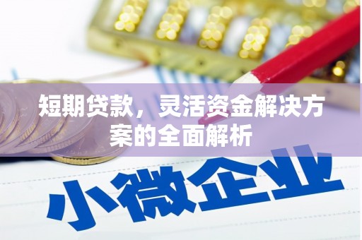 杉林短期贷款，灵活资金解决方案的全面解析