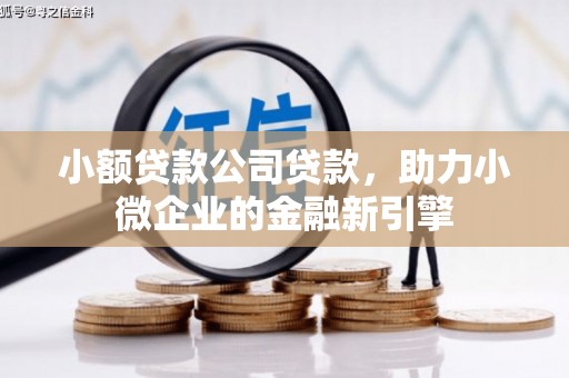 杉林小额贷款公司贷款，助力小微企业的金融新引擎