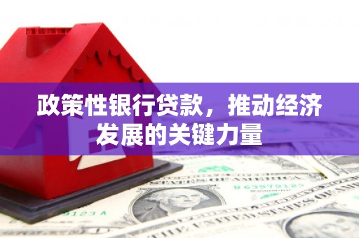 杉林政策性银行贷款，推动经济发展的关键力量