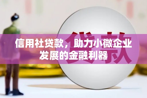 杉林信用社贷款，助力小微企业发展的金融利器