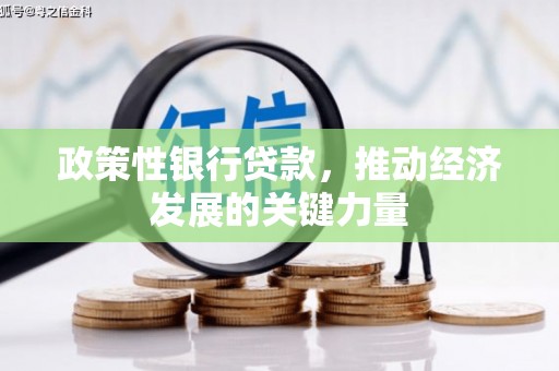 杉林政策性银行贷款，推动经济发展的关键力量