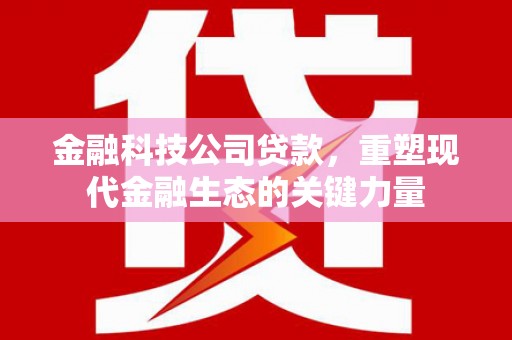 杉林金融科技公司贷款，重塑现代金融生态的关键力量