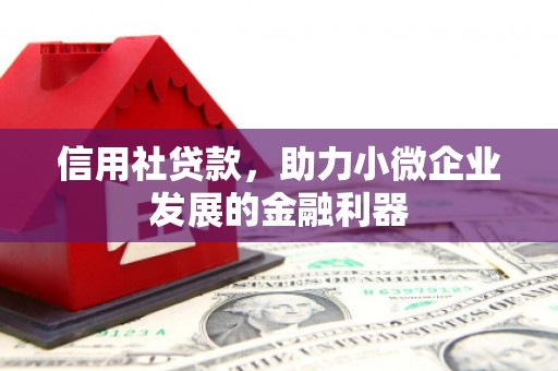 杉林信用社贷款，助力小微企业发展的金融利器