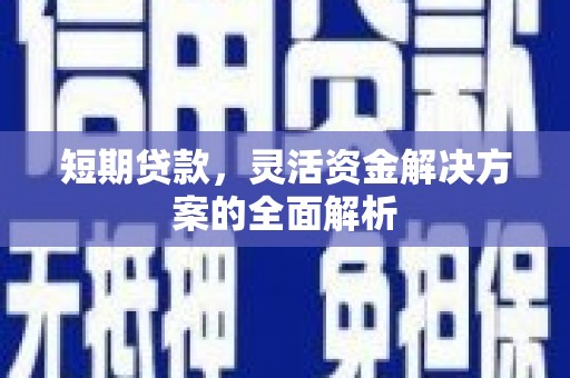 杉林短期贷款，灵活资金解决方案的全面解析