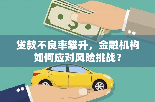 杉林贷款不良率攀升，金融机构如何应对风险挑战？